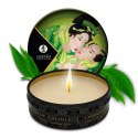 Shunga - Zenitude / Exotic Green Tea Massage Candle 30 ml