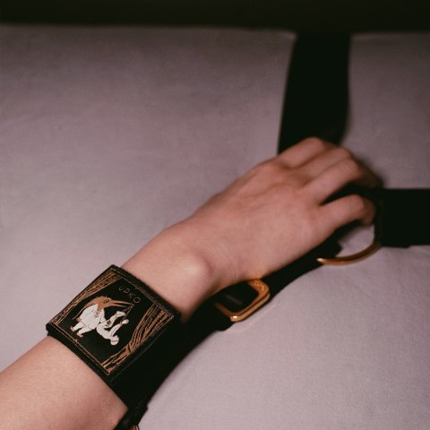 Pasy do krępowania łóżkowego – UPKO Bed Restraint Strap Pasy do krępowania łóżkowego – UPKO Bed Restraint Strap