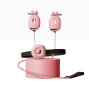 Klipsy na sutki z obrożą – Qingnan No.2 Nipple & Choker Set