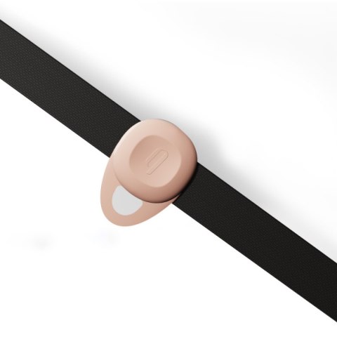 Klipsy na sutki z obrożą – Qingnan No.2 Nipple & Choker Set Klipsy na sutki z obrożą – Qingnan No.2 Nipple & Choker Set