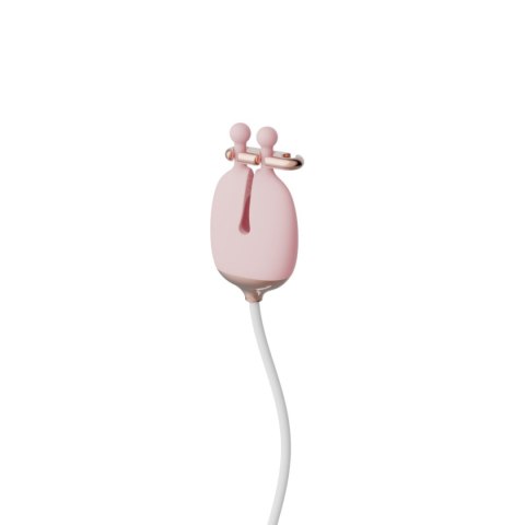Klipsy na sutki z obrożą – Qingnan No.2 Nipple & Choker Set Klipsy na sutki z obrożą – Qingnan No.2 Nipple & Choker Set