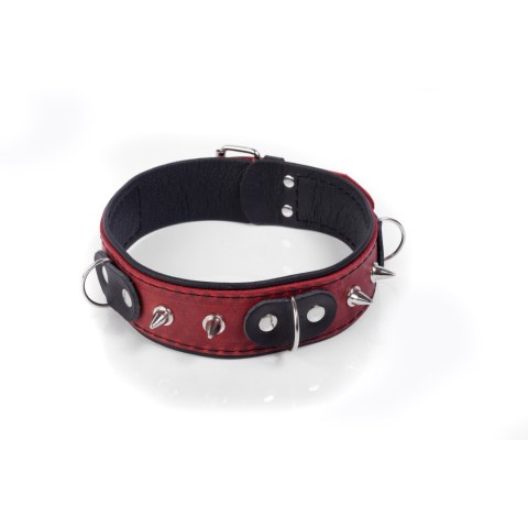 Skórzana obroża BDSM regulowana S – Whips Crazy Horse Skórzana obroża BDSM regulowana S – Whips Crazy Horse