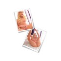 Masturbator PDX Extreme Flip Me Over Light
