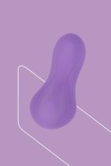 Masażer Damski z Pilotem FairyGasm HeartGem Violet