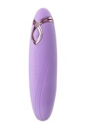 Stymulator Łechtaczki FairyGasm PleasureArrow Violet