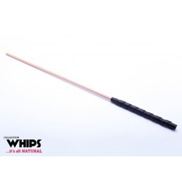 Trzcinka bukowa – Whips