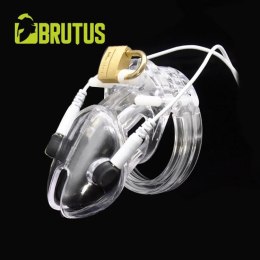 Pas cnoty z elektrostymulacją – Volt Cage Electro Chastity Cage Clear Brutus