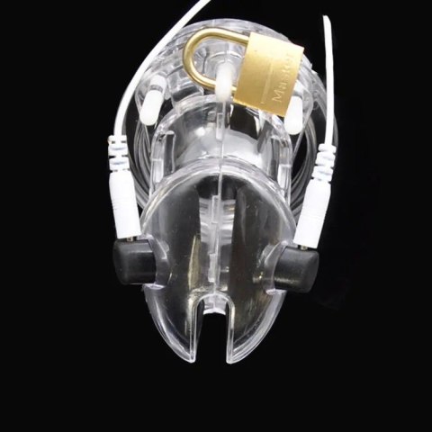 Pas cnoty z elektrostymulacją – Volt Cage Electro Chastity Cage Clear Brutus Pas cnoty z elektrostymulacją – Volt Cage Electro Chastity Cage Clear Brutus