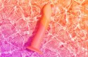 Dildo Dizi Romp