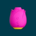 Powietrzny stymulator łechtaczki Rose Romp