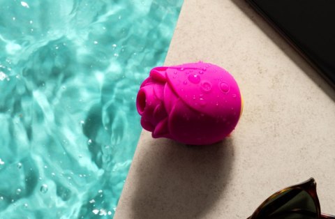 Powietrzny stymulator łechtaczki Rose Romp Powietrzny stymulator łechtaczki Rose Romp