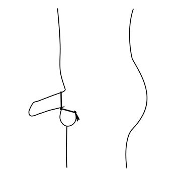 Pierścień Forge Double Adjustable Cock And Ball Ring Nexus